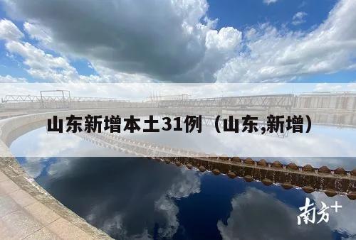 山东新增本土31例(山东,新增)