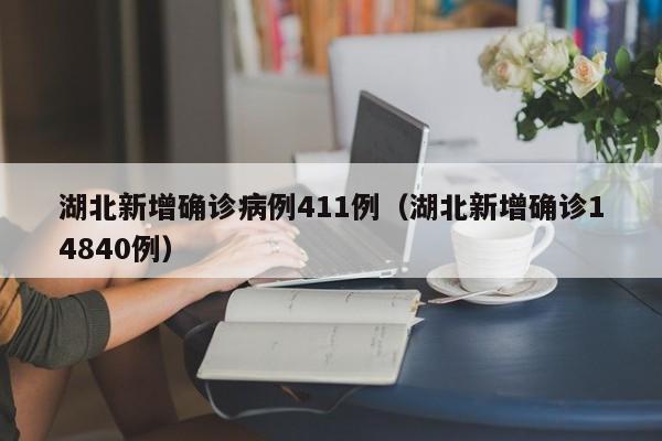 湖北新增确诊病例411例(湖北新增确诊14840例)