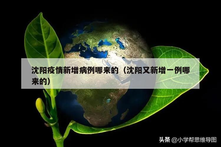 沈阳疫情新增病例哪来的(沈阳又新增一例哪来的)