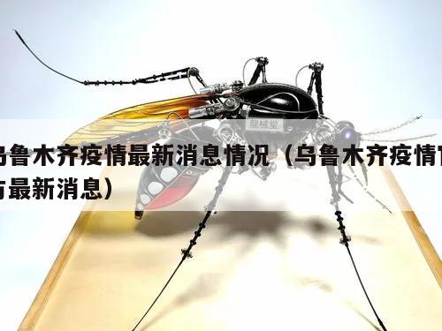 乌鲁木齐疫情最新消息情况(乌鲁木齐疫情官方最新消息)