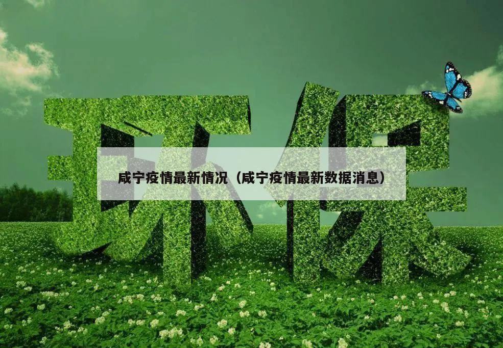 咸宁疫情最新情况(咸宁疫情最新数据消息)