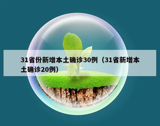 31省份新增本土确诊30例(31省新增本土确诊20例)