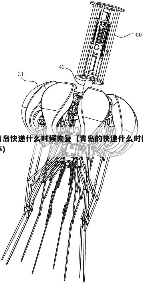 青岛快递什么时候恢复(青岛的快递什么时候停)