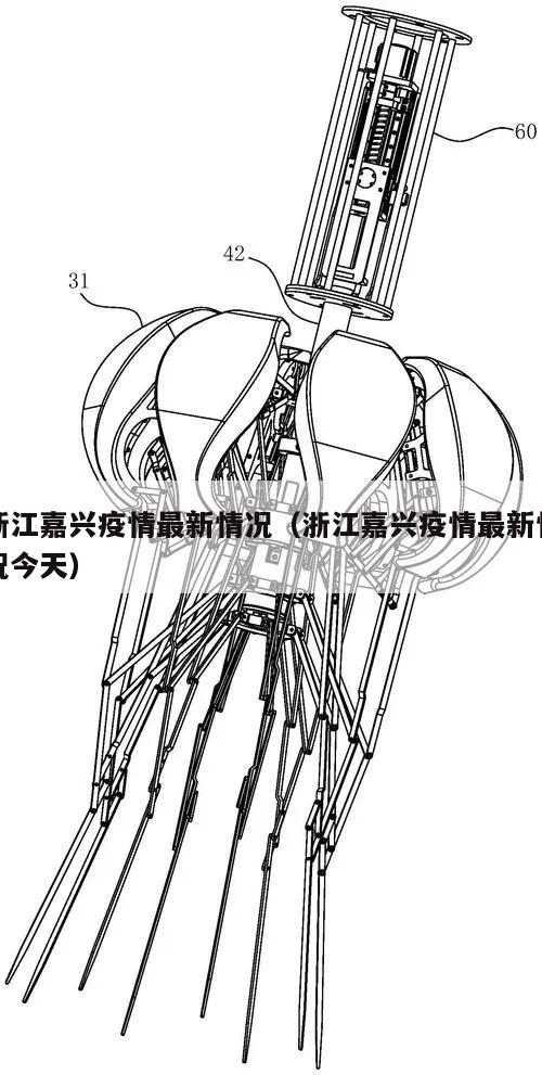 浙江嘉兴疫情最新情况(浙江嘉兴疫情最新情况今天)