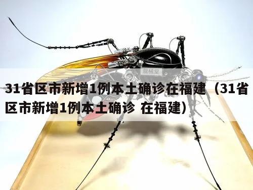 31省区市新增1例本土确诊在福建(31省区市新增1例本土确诊 在福建)