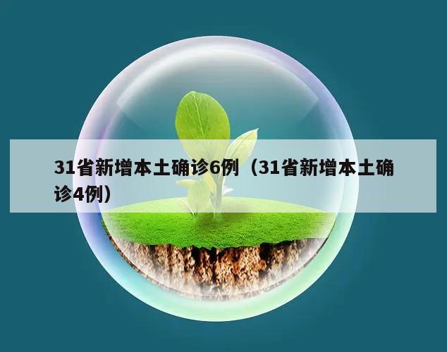 31省新增本土确诊6例(31省新增本土确诊4例)
