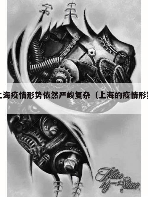 上海疫情形势依然严峻复杂(上海的疫情形势)