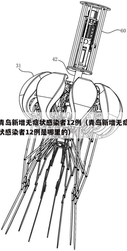 青岛新增无症状感染者12例(青岛新增无症状感染者12例是哪里的)