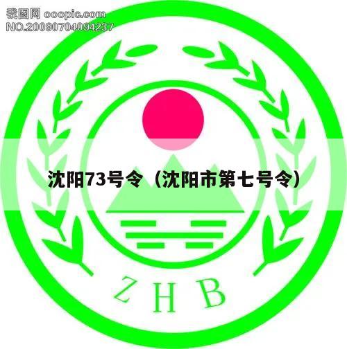 沈阳73号令(沈阳市第七号令)