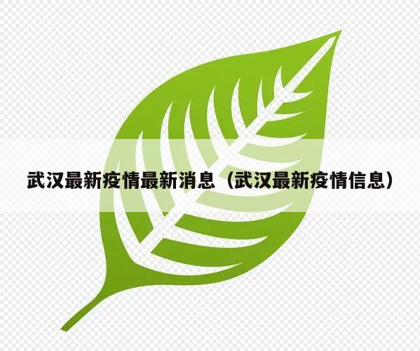武汉最新疫情最新消息(武汉最新疫情信息)