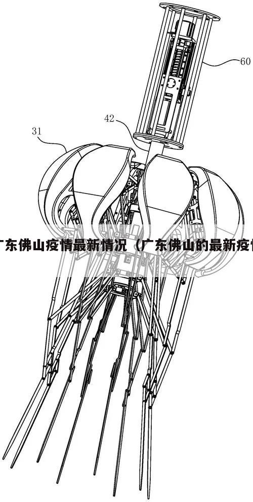 广东佛山疫情最新情况(广东佛山的最新疫情)