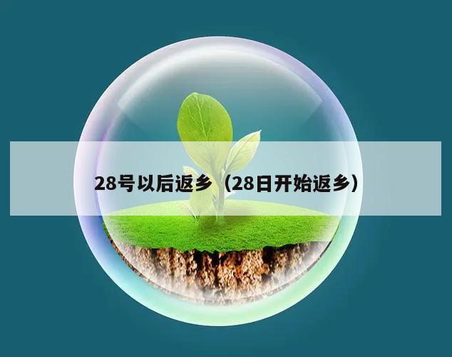 28号以后返乡(28日开始返乡)