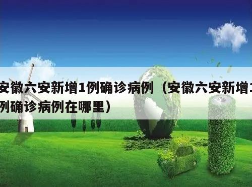 安徽六安新增1例确诊病例(安徽六安新增1例确诊病例在哪里)