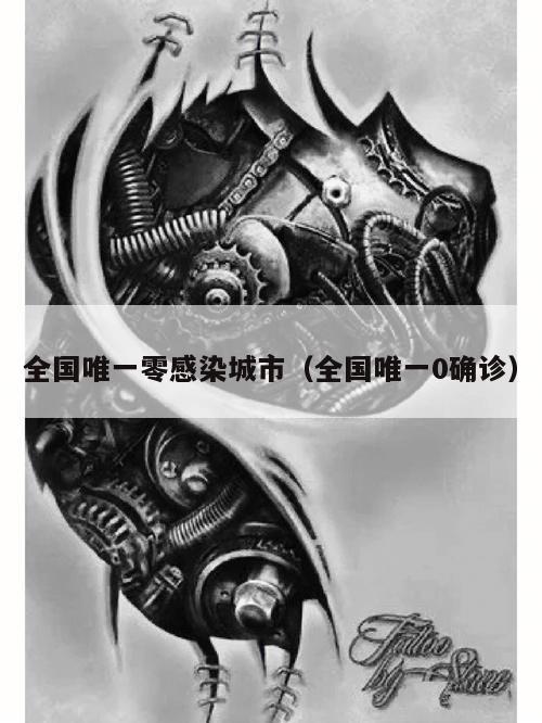 全国唯一零感染城市(全国唯一0确诊)